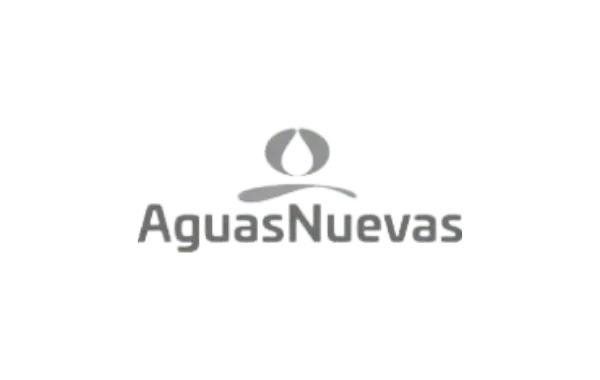 Aguas Nuevas Gris