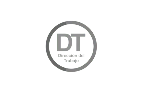 Dirección Trabajo Gris