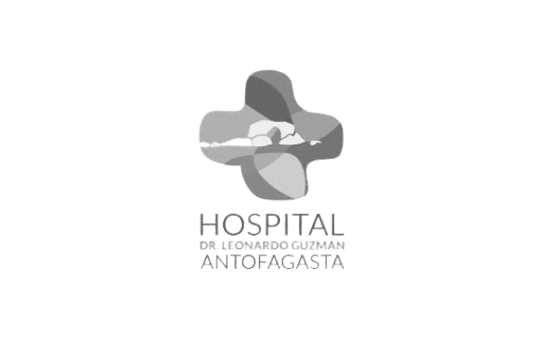 Hospital Antofagasta Gris
