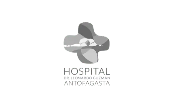 Hospital Antofagasta Gris