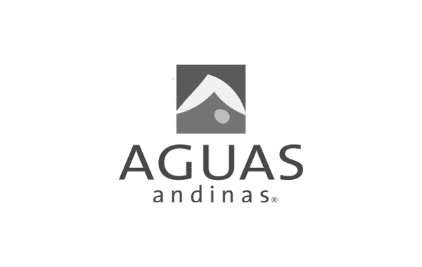 Logo Aguas Andinas Gris