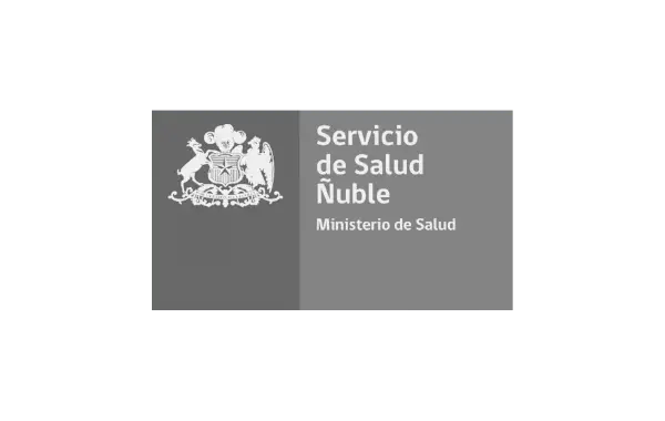 Servicio de Salud Ñuble Gris