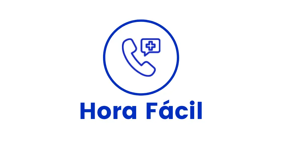 Hora Fácil Icono head