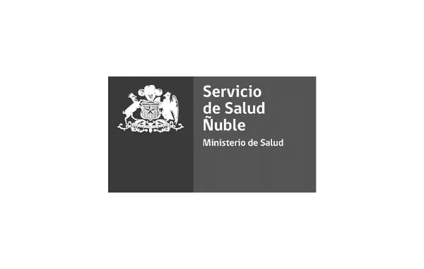 Ñuble Gris