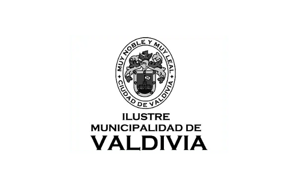 Valdivia Gris