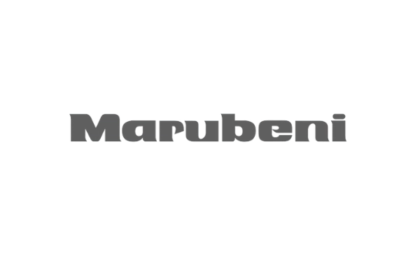 Marubeni Gris