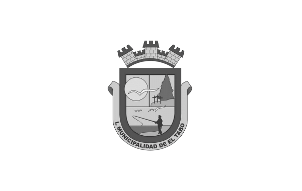 Municipalidad De El Tabo Gris