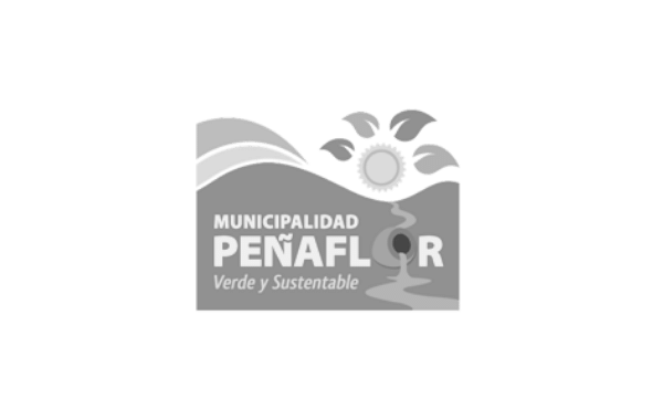 Municipalidad Peñaflor Gris