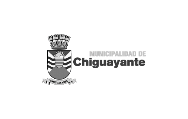 Municipalidad de Chiguayante Gris