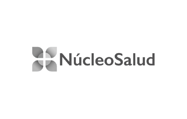 Núcleo Salud Gris